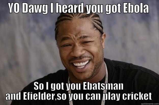 YO DAWG I HEARD YOU GOT EBOLA SO I GOT YOU EBATSMAN AND EFIELDER,SO YOU CAN PLAY CRICKET Xzibit meme