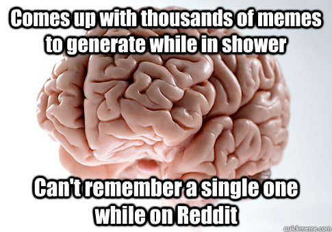 Comes up with thousands of memes to generate while in shower Can't remember a single one while on Reddit - Comes up with thousands of memes to generate while in shower Can't remember a single one while on Reddit  Scumbag Brain