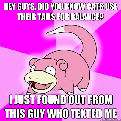 Hey guys, Did you know cats use their tails for balance? I just found out from this guy who texted me  Slowpoke