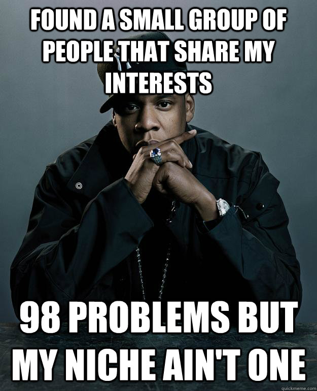 Found a small group of people that share my interests 98 problems but my niche ain't one  Jay Z Problems