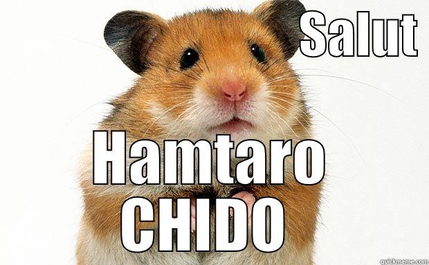                               SALUT  HAMTARO CHIDO  Misc