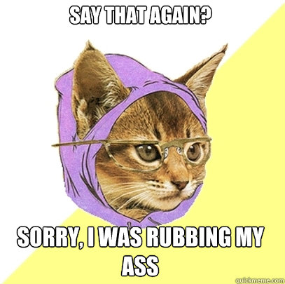 Say that again? Sorry, I was rubbing my ass  Hipster Kitty