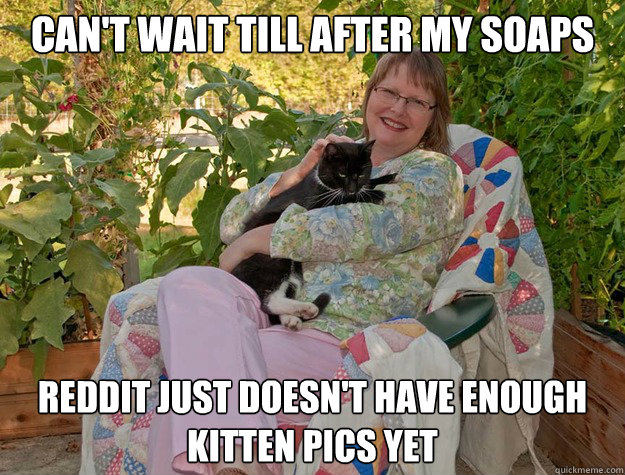 Can't wait till after my soaps Reddit just doesn't have enough kitten pics yet  cat lady