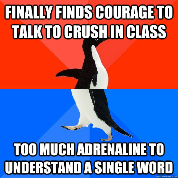 Finally finds courage to talk to crush in class Too much adrenaline to understand a single word  Socially Awesome Awkward Penguin