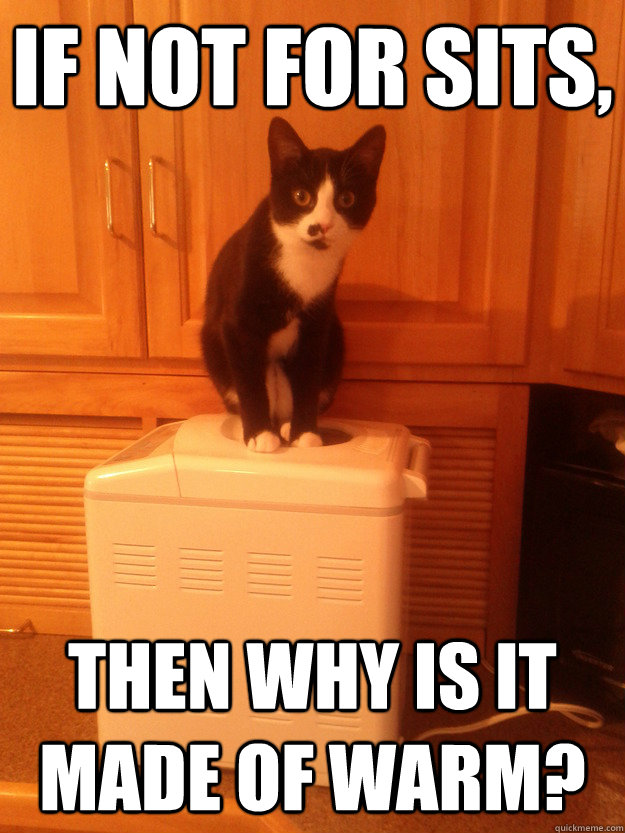 If not for sits, then why is it made of warm? kitten quickmeme