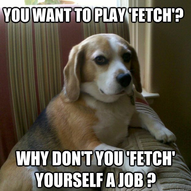 You want to play 'fetch'? Why don't you 'fetch' yourself a job ?  judgmental dog