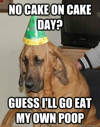 no cake on cake day? guess i'll go eat my own poop  Sad Birthday Dog