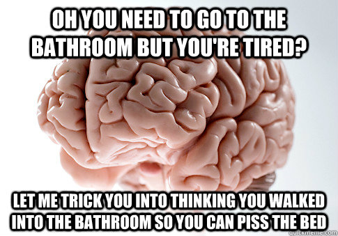 Oh you need to go to the bathroom but you're tired? let me trick you into thinking you walked into the bathroom so you can piss the bed  Scumbag Brain