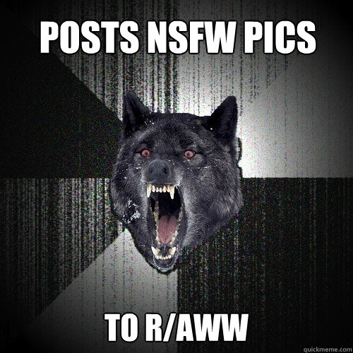 Posts nsfw pics to r/aww  Insanity Wolf
