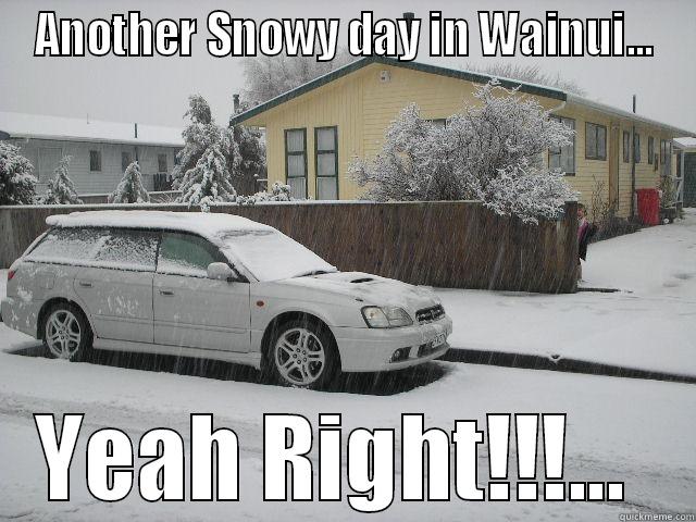 ANOTHER SNOWY DAY IN WAINUI... YEAH RIGHT!!!...  Misc