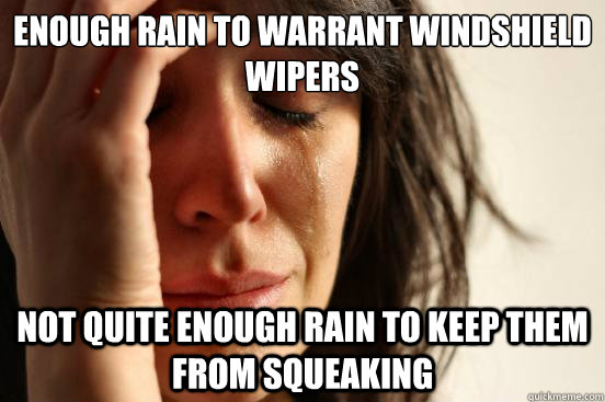Enough rain to warrant windshield wipers  Not quite enough rain to keep them from squeaking  First World Problems