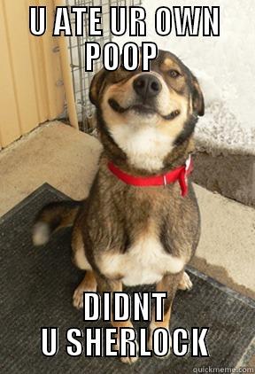 U ATE UR OWN POOP  DIDNT U SHERLOCK Good Dog Greg