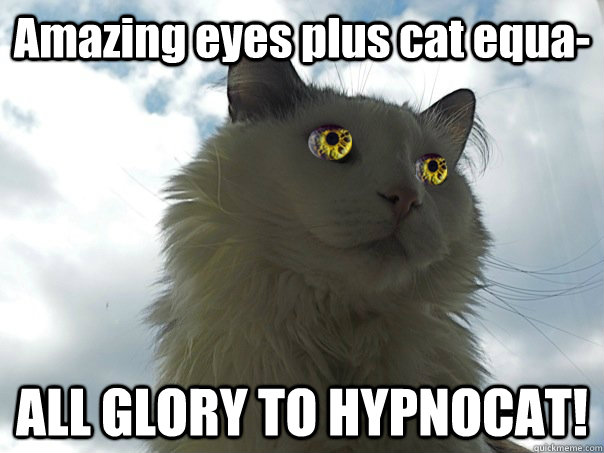 Amazing eyes plus cat equa- ALL GLORY TO HYPNOCAT!  