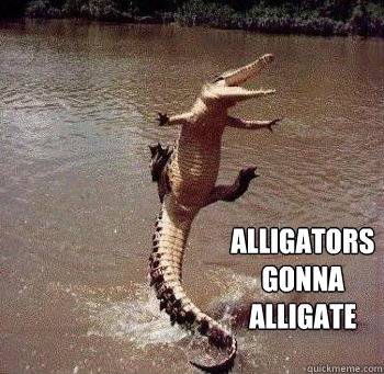 Alligators 
gonna 
alligate - Alligators 
gonna 
alligate  Alligators gonna alligate