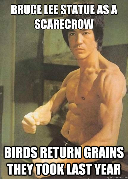Bruce Lee statue as a scarecrow Birds return grains they took last year  Bruce Lee