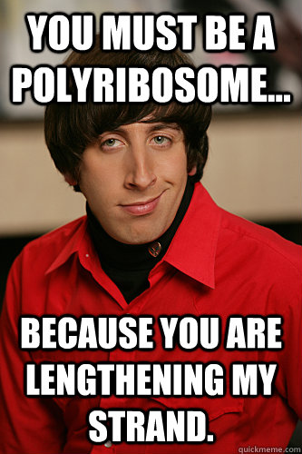 You must be a Polyribosome... because you are lengthening my strand.  Howard Wolowitz