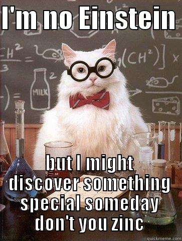 I'M NO EINSTEIN  BUT I MIGHT DISCOVER SOMETHING SPECIAL SOMEDAY DON'T YOU ZINC Chemistry Cat