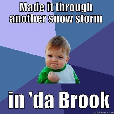 Snow storm - MADE IT THROUGH ANOTHER SNOW STORM    IN 'DA BROOK Success Kid