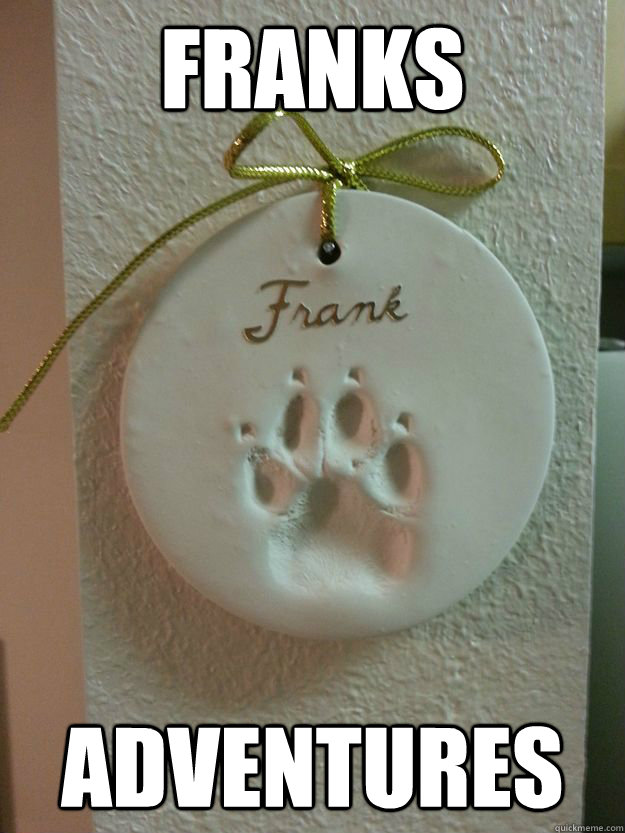 Franks Adventures  Franks Adventures