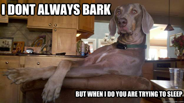 i dont always bark but when i do you are trying to sleep  