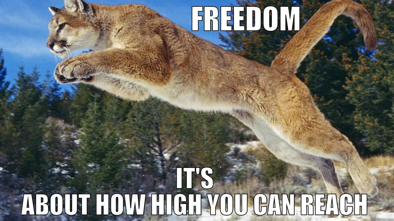                   FREEDOM IT'S ABOUT HOW HIGH YOU CAN REACH Misc