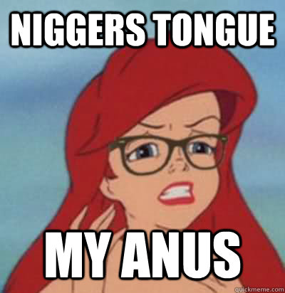Niggers Tongue My Anus - Hipster Ariel - quickmeme.