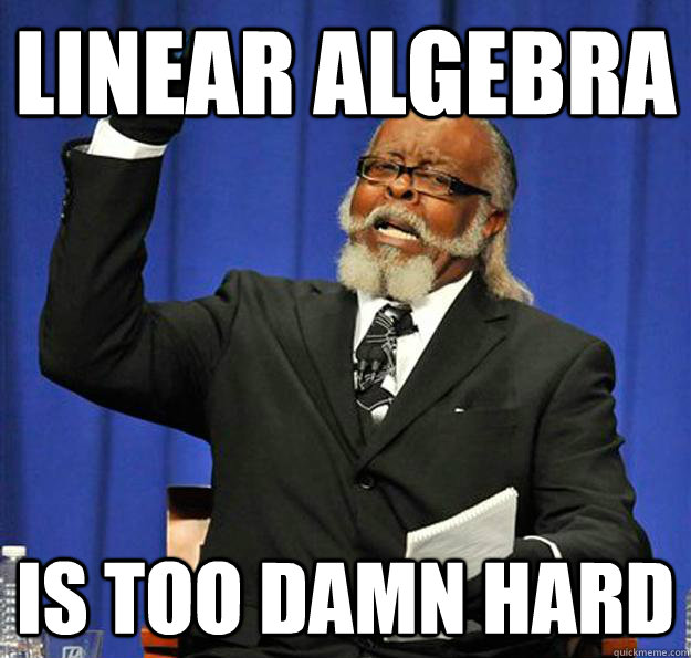 Linear Algebra Is too damn hard - Linear Algebra Is too damn hard  Jimmy McMillan