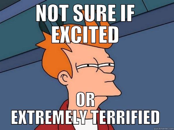 NOT SURE IF EXCITED OR EXTREMELY TERRIFIED Futurama Fry