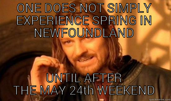 ONE DOES NOT SIMPLY EXPERIENCE SPRING IN NEWFOUNDLAND UNTIL AFTER THE MAY 24TH WEEKEND Boromir