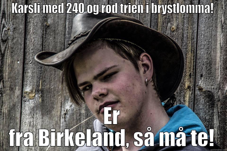 KARSLI MED 240 OG RØD TRIEN I BRYSTLOMMA! ER FRA BIRKELAND, SÅ MÅ TE! Misc