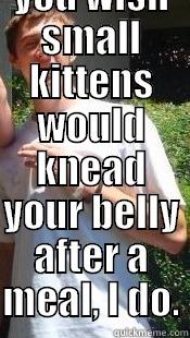  DONT YOU WISH SMALL KITTENS WOULD KNEAD YOUR BELLY AFTER A MEAL, I DO. Misc