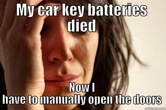 MY CAR KEY BATTERIES DIED NOW I HAVE TO MANUALLY OPEN THE DOORS First World Problems