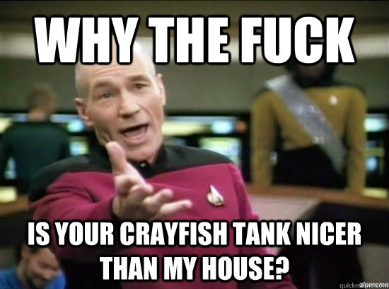 Why the fuck is your crayfish tank nicer than my house?  Annoyed Picard HD