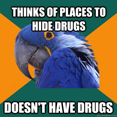 THINKS OF PLACES TO HIDE DRUGS DOESN'T HAVE DRUGS  Paranoid Parrot
