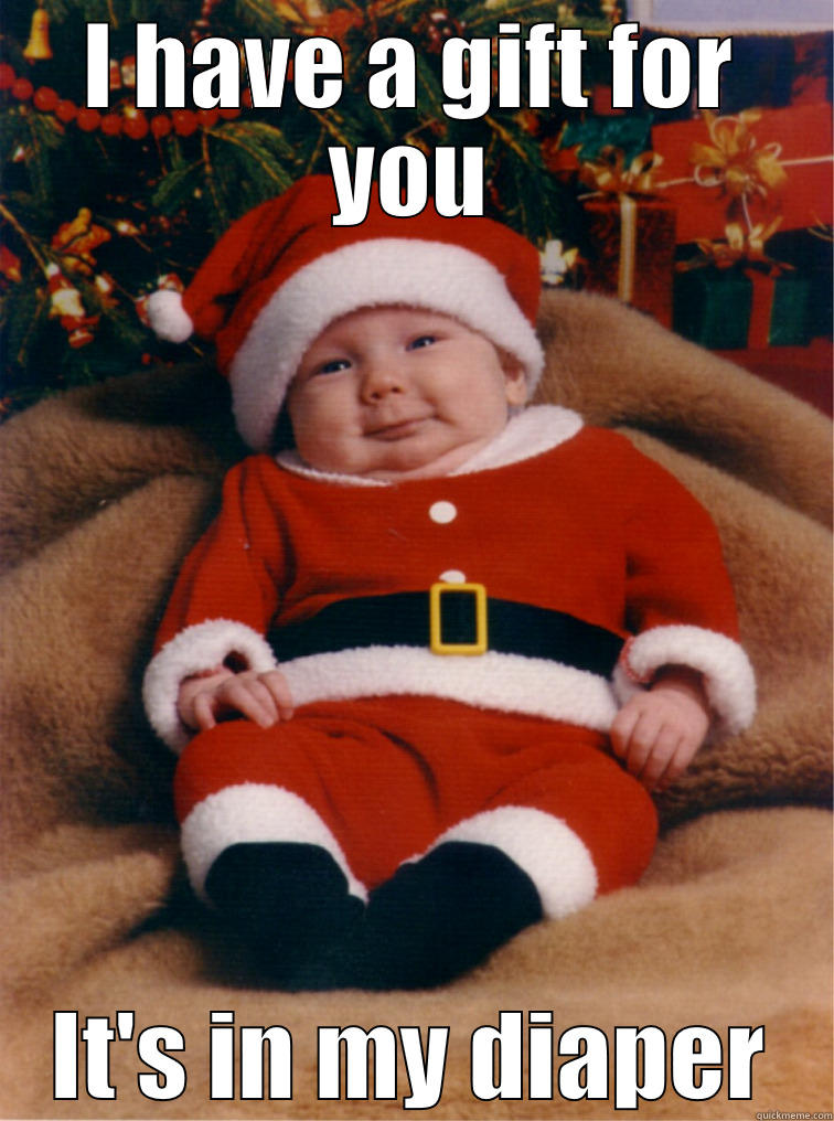 I HAVE A GIFT FOR YOU IT'S IN MY DIAPER Misc