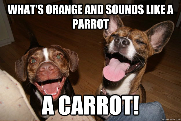 What's orange and sounds like a parrot A carrot!  Clean Joke Puppies