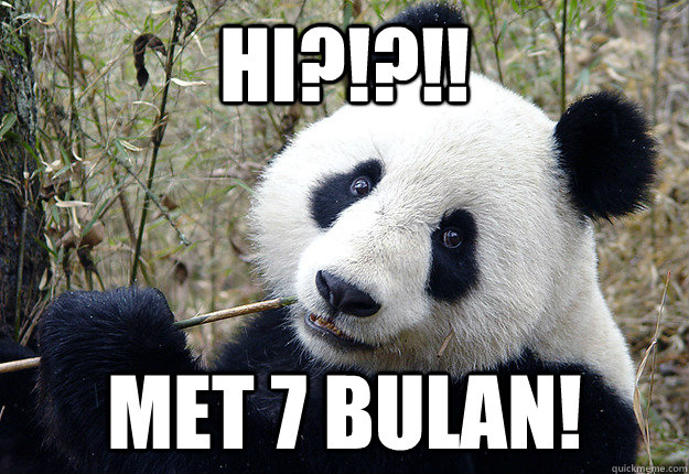 Hi?!?!! met 7 bulan!  Pick-up line Panda