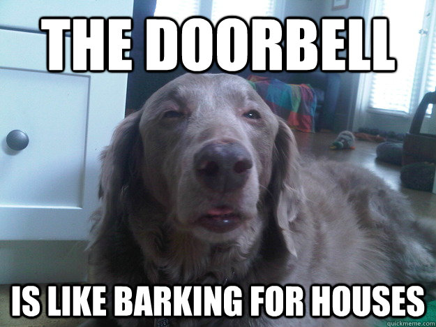 The Doorbell Is Like Barking For Houses  