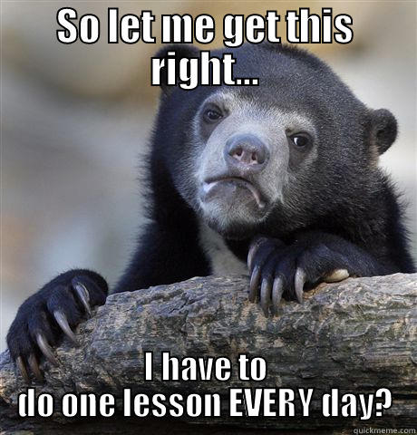 SO LET ME GET THIS RIGHT... I HAVE TO DO ONE LESSON EVERY DAY? Confession Bear
