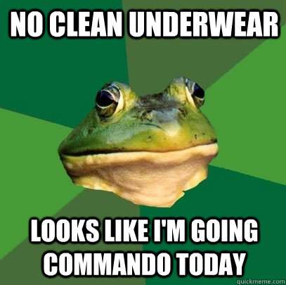No clean underwear Looks like I'm going commando today  Foul Bachelor Frog