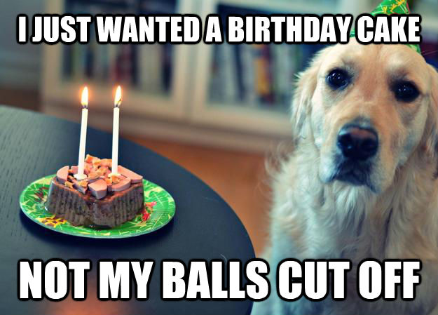 I JUST WANTED A BIRTHDAY CAKE NOT MY BALLS CUT OFF - I JUST WANTED A BIRTHDAY CAKE NOT MY BALLS CUT OFF  untitled meme