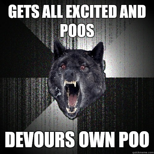 Gets all excited and poos Devours own poo  Insanity Wolf