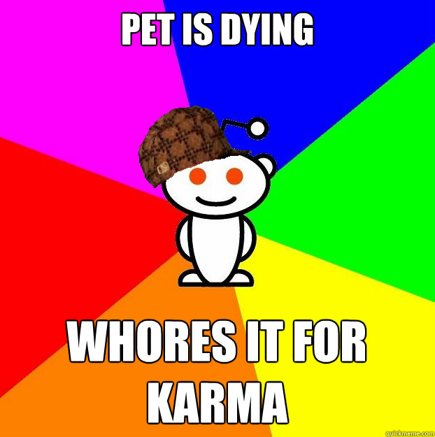 pet is dying whores it for karma  Scumbag Redditor