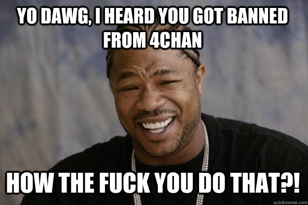 Yo dawg, i heard you got banned from 4chan how the fuck you do that?!  Xzibit meme