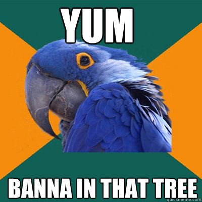 yum banna in that tree  Paranoid Parrot