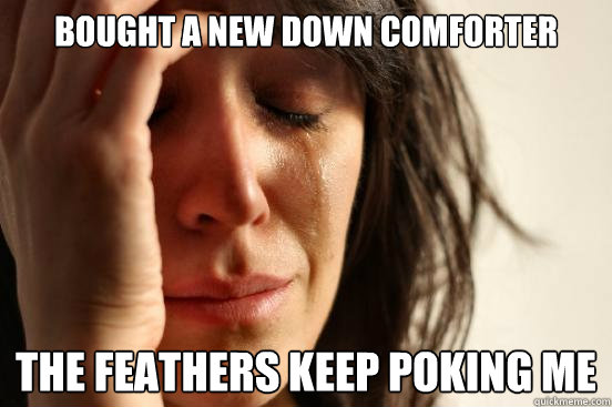 Bought a new down comforter The feathers keep poking me  First World Problems
