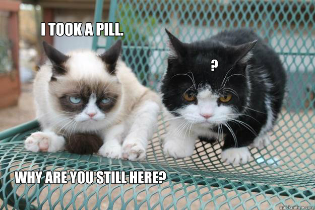 I took a pill. why are you still here?   ? - I took a pill. why are you still here?   ?  Grumpy Cat Apprentice