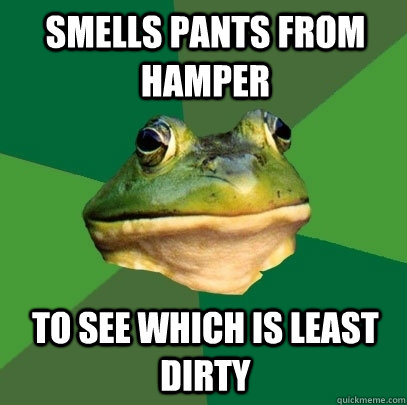 Smells pants from hamper to see which is least dirty  Foul Bachelor Frog