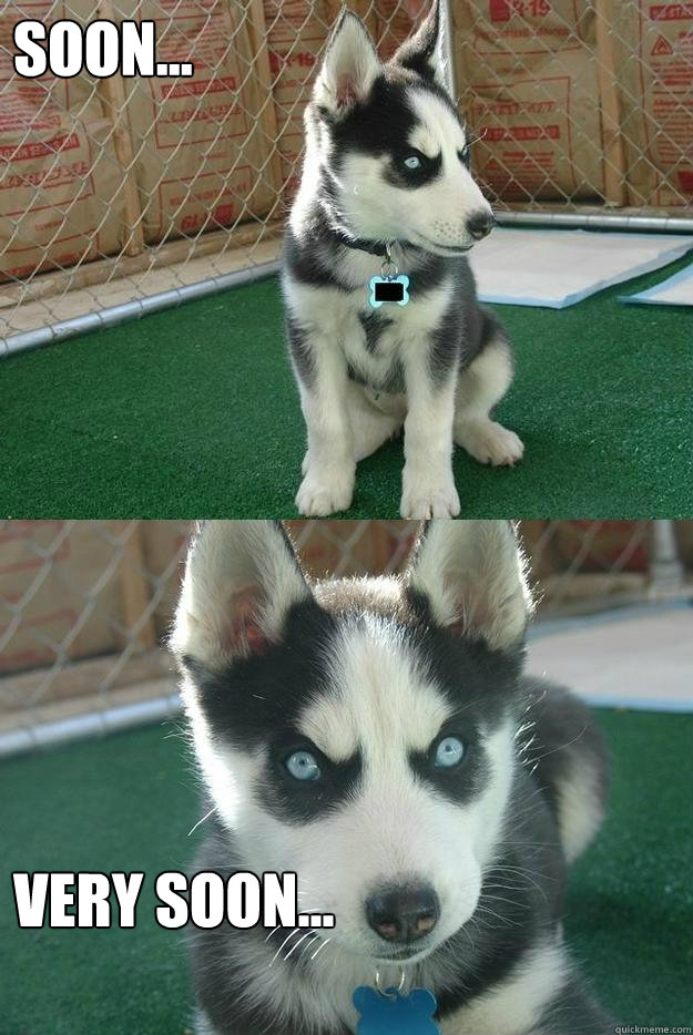 Soon... Very soon...  Insanity puppy