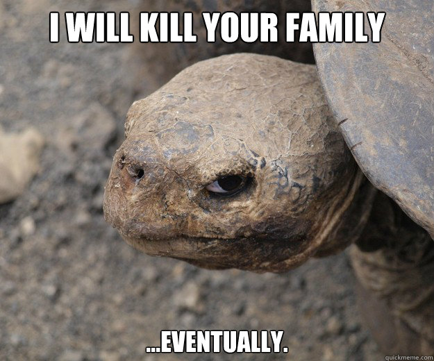 I WILL KILL YOUR FAMILY ...EVENTUALLY. - I WILL KILL YOUR FAMILY ...EVENTUALLY.  Insanity Tortoise